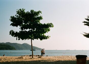 Fueled by Passion: Inspirational Quotes to Ignite Your Fire