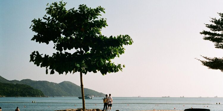 Fueled by Passion: Inspirational Quotes to Ignite Your Fire