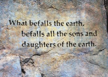 Embrace the Journey: Inspiring Spiritual Growth Quotes to Elevate Your Soul