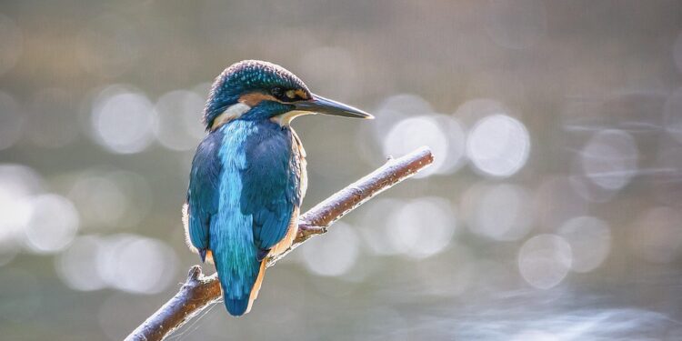 Unleashing the Power of Perseverance: Inspiring Gritquotes to Fuel Your Success