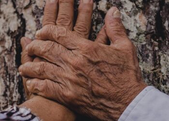 Heartfelt Expressions: Love and Affection Quotes to Warm Your Soul