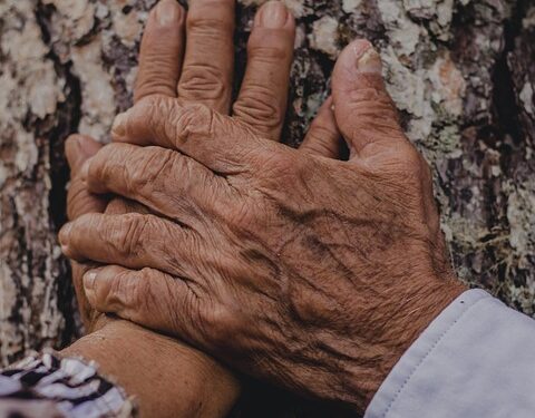 Heartfelt Expressions: Love and Affection Quotes to Warm Your Soul