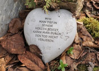 The Power of Words: A Collection of Insightful Political Quotes