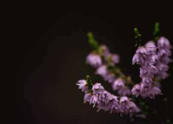 Words of Wisdom: The Key to Unlocking Your Full Potential