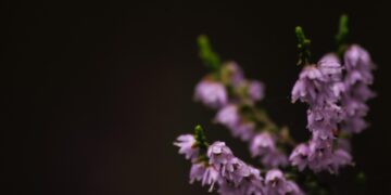 Words of Wisdom: The Key to Unlocking Your Full Potential