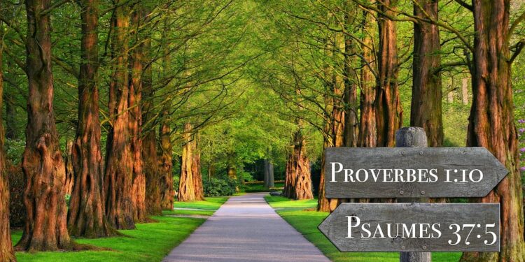 Rise and Shine: Inspirational Quotes to Awaken Your Mind and Soul