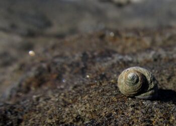 Inspiration Unleashed: Timeless Wisdom from Renowned Writers