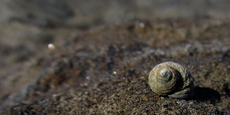 Inspiration Unleashed: Timeless Wisdom from Renowned Writers