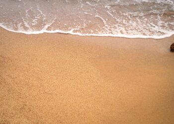 Echoes of the Soul: Inspiring Quotes to Nourish Your Spirit