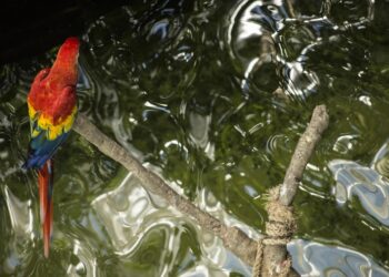 Unbreakable Spirit: Inspiring Never Lose Hope Quotes to Keep You Going