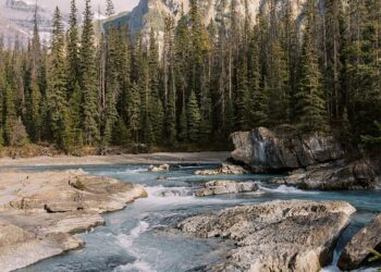 Love in Every Word: Heartfelt Valentine’s Day Quotes to Warm Your Soul