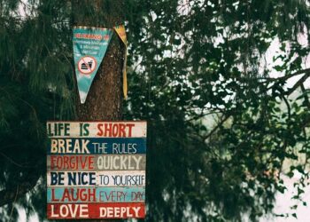 Rising from the Ashes: Inspirational Quotes on Resilience