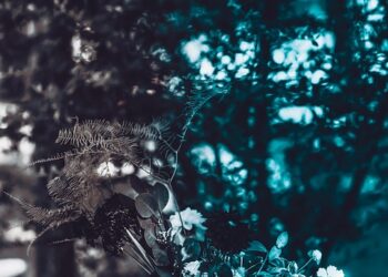 Awakening the Soul: 50 Enlightening Quotes to Illuminate Your Path