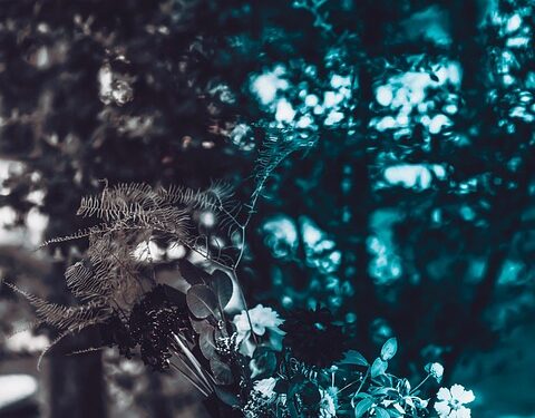 Awakening the Soul: 50 Enlightening Quotes to Illuminate Your Path