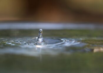 Unlocking the Power of Sacred Wisdom Quotes: A Journey to Enlightenment