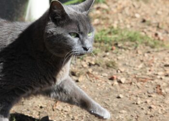 The Power of Patience: Inspirational Investment Quotes to Guide Your Financial Journey