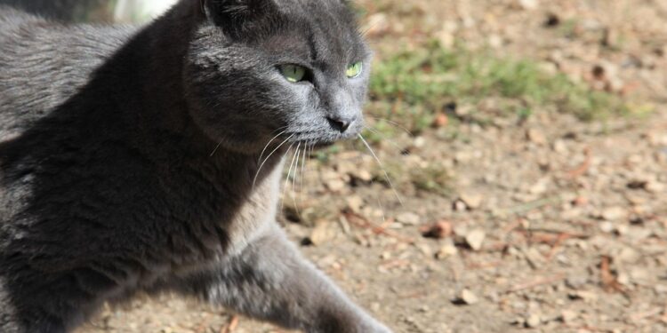 The Power of Patience: Inspirational Investment Quotes to Guide Your Financial Journey