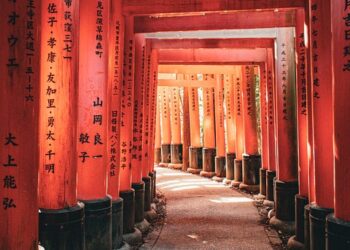 The Timeless Teachings: Unveiling the Secrets of Historical Wisdom