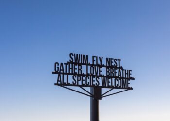 Unleash Your Potential: 20 Inspirational Quotes for Achieving Success