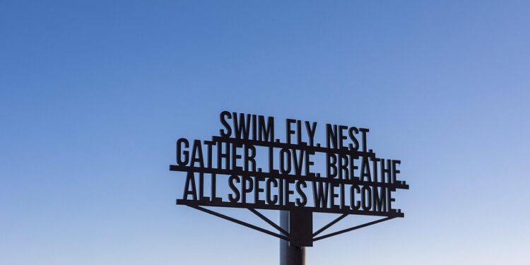 Unleash Your Potential: 20 Inspirational Quotes for Achieving Success