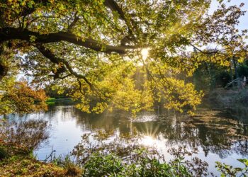 Words that Move Mountains: The Most Powerful Quotes of All Time