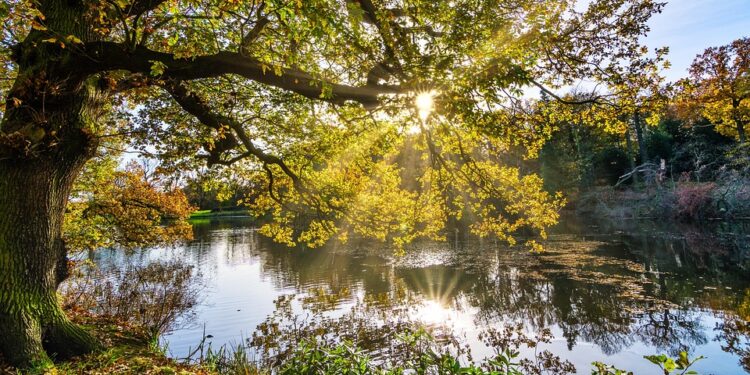 Words that Move Mountains: The Most Powerful Quotes of All Time