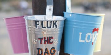 Unleashing the Power Within: Inspiring Success Mindset Quotes to Take You to the Top