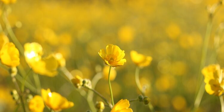 Unstoppable Determination: Inspiring Never Quit Quotes to Keep You Motivated