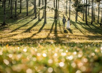 Heartache Chronicles: Powerful Breakup Quotes to Heal Your Soul